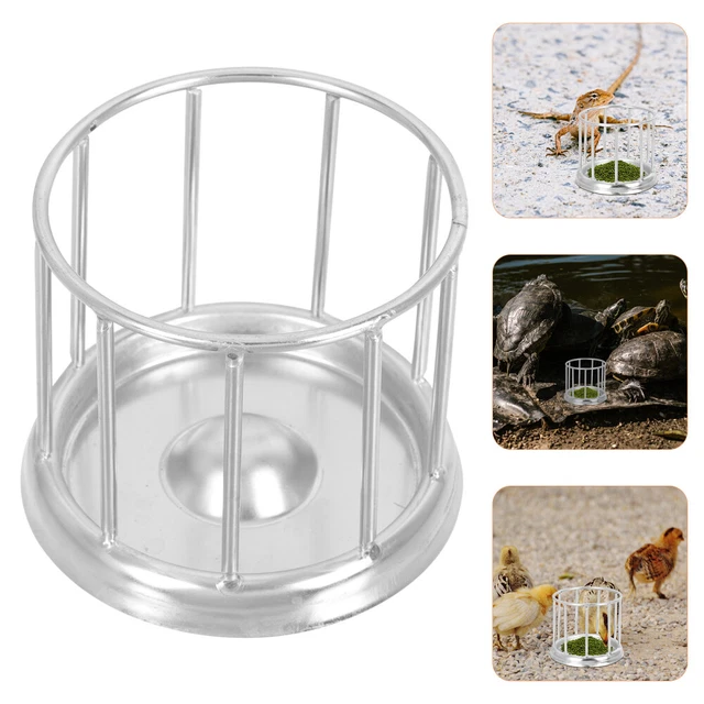 TURTLE FEEDER GECKO Food Bowl Container Reptile Automatic Water £11.98
