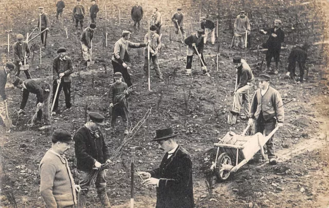 Cpa 28 Carte Photo D'une Vue De Beauce / Agriculture / Travail De La Terre