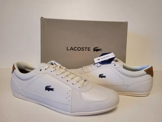 Lacoste evara store 118 2