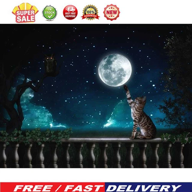 (DF3435) 5D HAZLO TÚ MISMO Taladro completo Diamante Pintura Gato Punto de Cruz Kits de bordado (H0)