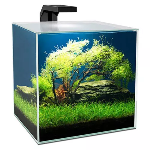 Ciano Cube Aquarium 15 with LED Light, Internal Filter, Lid 14.5L Fish Tank