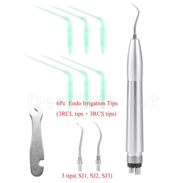 Dental Air Scaler Handpiece Sonic Scaler Tooth Cleaner 4Hole+6Pc Irrigation Tips