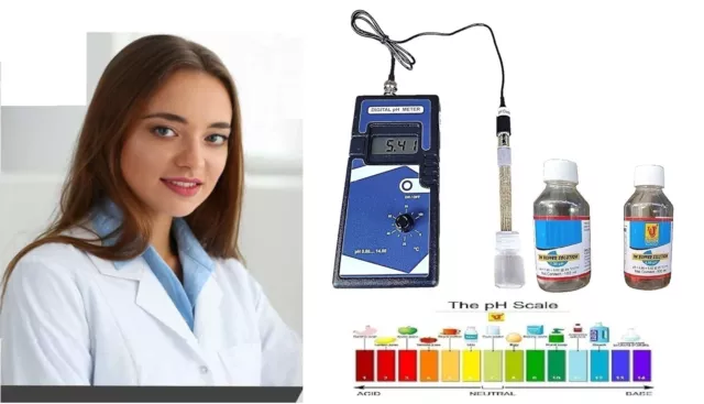 Ph Meter , Portable Digital (Main Portable)