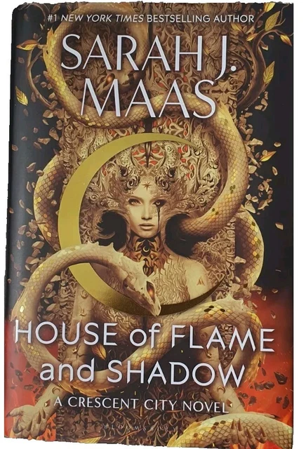 HOUSE OF FLAME and Shadow Sarah J. Maas Crescent City Series 2024 New ...