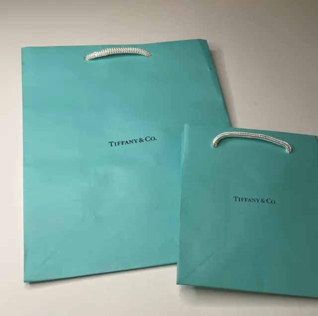 Tiffany Gift Bags (2) Teal Color with White Rope Handles 10"x 8" and 6"x 5"