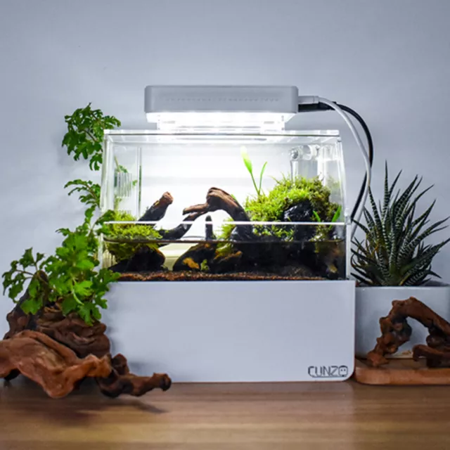 Desktop Aquarium Fish Aquarium Micro Tank Mini Complete Tank White With LED Lamp