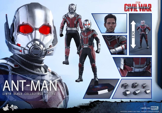 1/6 Scale Captain America Civil War Ant-Man Hot Toys