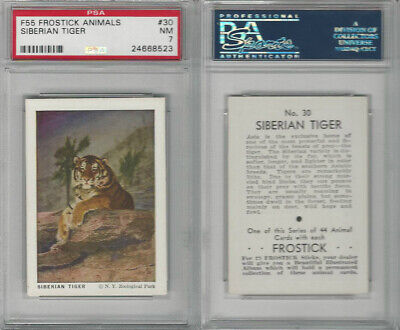 F55 Frostick, Animal Cards, 1933, #30 Siberian Tiger, PSA 7 NM