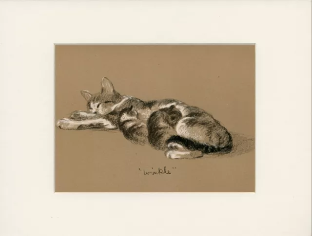 Winkle Sleeping Lovely Original Old 1946 Cat Art Print By Lucy Dawson  Mounted