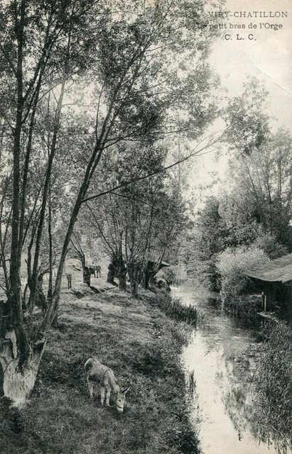 Carte VIRY CHATILLON Petit bras de l'Orge Un âne paisse au bord de la rivière