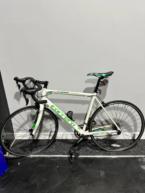 Carrera vanquish 2019 online