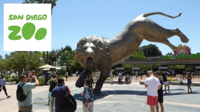 2 One-Day Tickets Ticket Passes to San Diego Zoo VIP ANY DAY! NO RESERVATION!