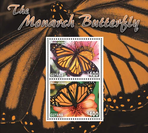 Guyana - Butterflies On Stamps - "The Monarch Butterfly" - S/S  - 2014 MNH