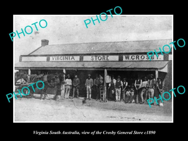 OLD LARGE HISTORIC PHOTO OF VIRGINIA SOUTH AUSTRALIA THE CROSBY STORE c1890
