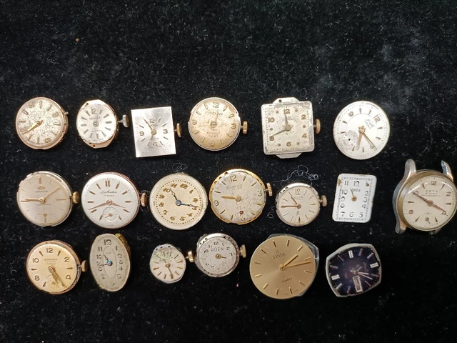 Scatola Portaorologi Meelryd Con 15 Scomparti – Cuscini Rimovibili, Chiusura A Doppia Fibbia, In PP Impermeabile, Per Orologi Da Uomo E Donna