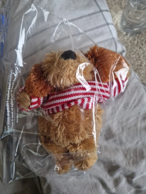 brown dog called cookie for sale