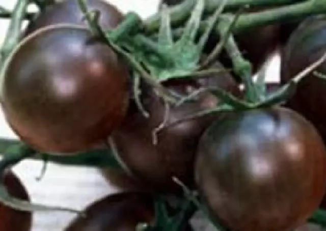 Tomate Black Cherry  200 semillas - seeds - Negro Chocolate huerto jardín