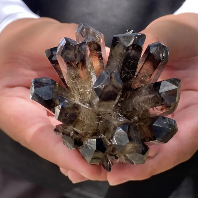300G New Find black Phantom Quartz Crystal Cluster Mineral Specimen Healing