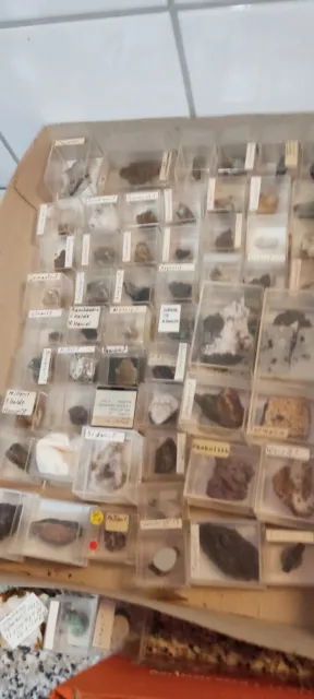 Umfangreiche Mineralien Sammlung