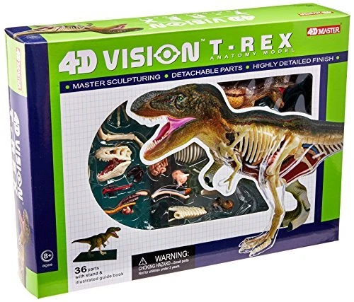 4D Vision T-Rex Anatomy Model