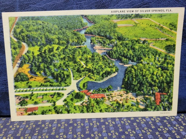 Vintage Airplane View Of Silver Springs, Florida Postcard