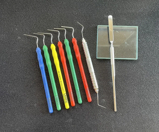 Dentsply  Schilder Endo Hand Pluggers Lot With Endo Explorer Mixing Spatula Pad