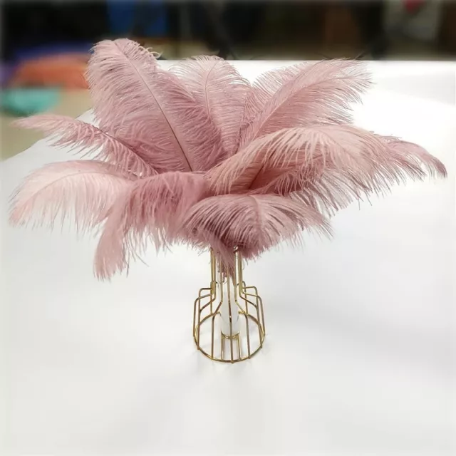 Large Ostrich Feathers Bulk-Making Kit 10Pcs 28 Long Feathers for Vase  Wedding