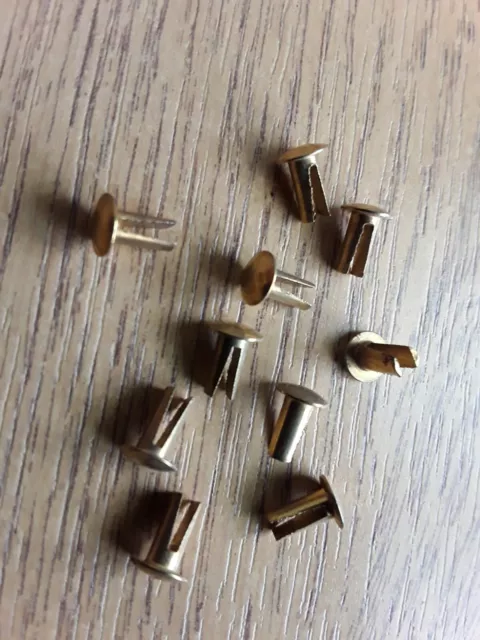 1/8 (3mm) x 1/4 (6mm) Gamba Divisa Biforcata Ottone Placcato Acciaio Rivetto Testa Ovale 10