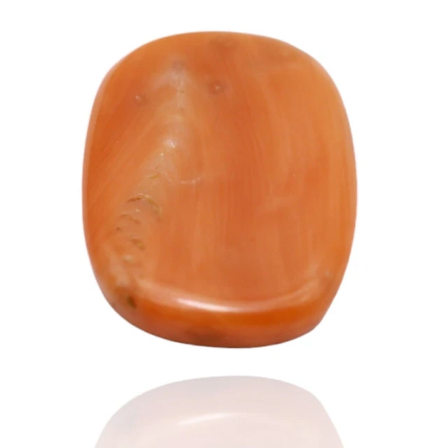 7.75 Cts 100% Natural Taiwan Coral Beautiful Cabochon Loose Gemstones C-16