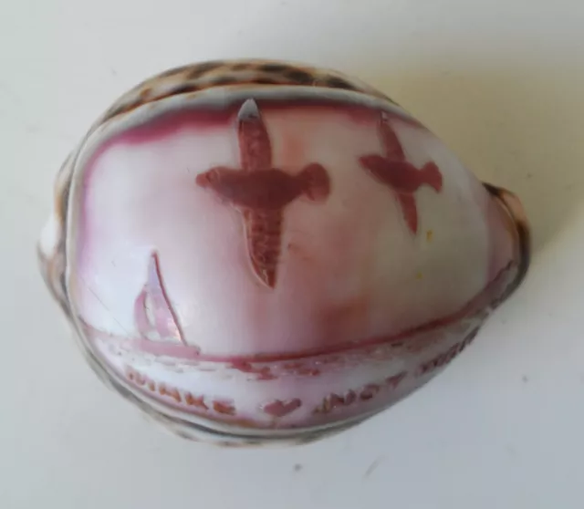 Vintage Carved Cowrie Tiger Shell Make Love Not War Birds Flying over Sea Boat