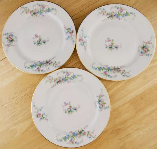 Limoges France Set of 3 Salad Plates Pink Blue Floral Gold Trim Bawo & Dotter #2