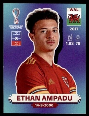 panini world cup qatar 2023 sticker box