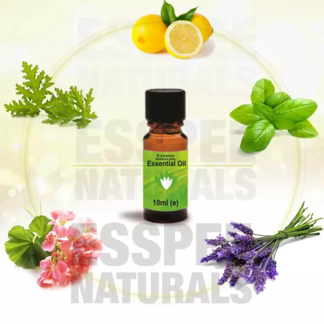 Essential Oils for Aromatherapy 10 ml - 100% Pure - Choose from Selection