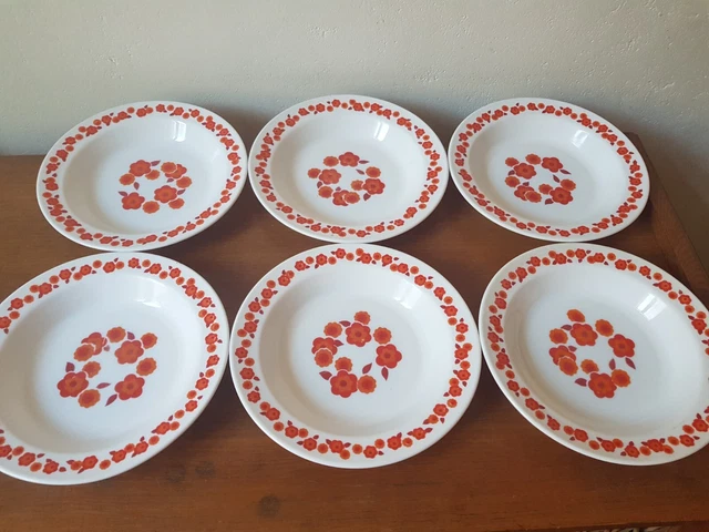 6 Assiettes Creuses Vintage ARCOPAL Décor Couleurs D'Automne