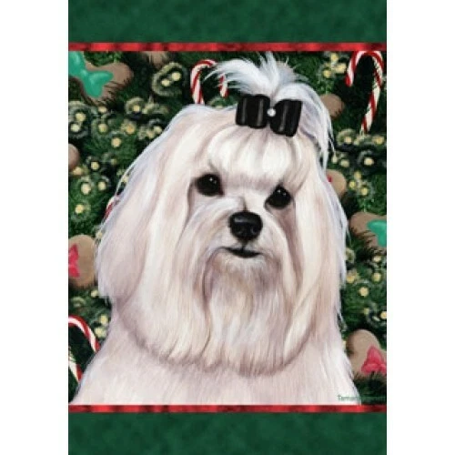 Christmas Holiday Garden Flag - Maltese (Show) 142211