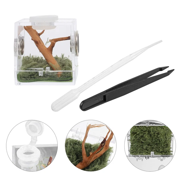 Set Di 2 Accessori Per Recinzione Ragno Saltatore: Rete Arrampicata In Poliestere Con Magneti, Nascondiglio E Decorazione Per Terrario (Nero) - 5
