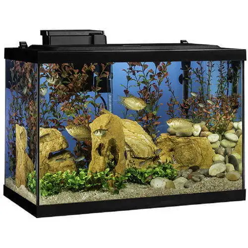 Fish Tanks 20-Gallon LED Glass Aquarium Starter Kit with Filter, Heater & Plants