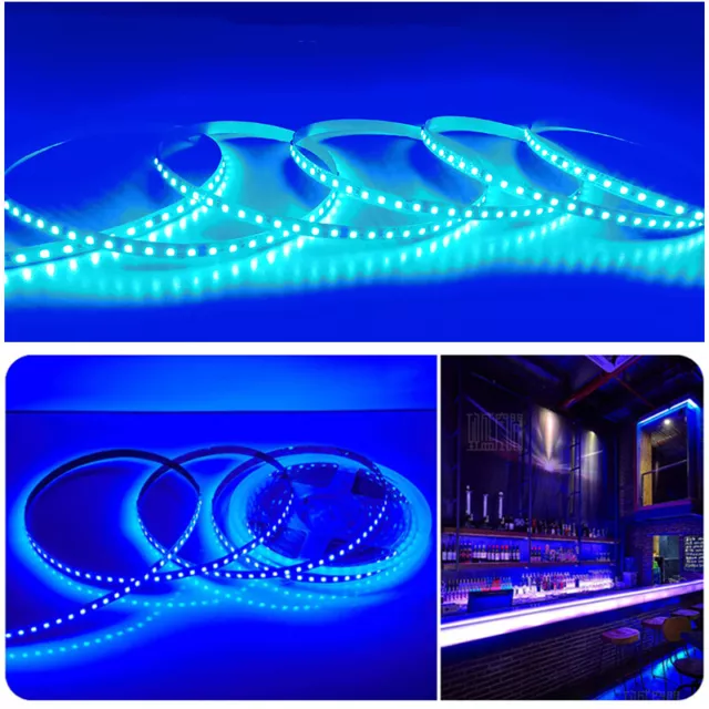 LED Strip Lights 120leds/m 110V/220V Flexible LED Tape No Power supply Needed