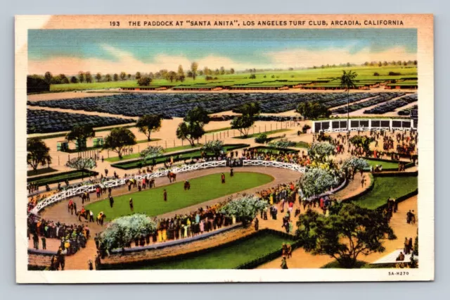 Postcard The Paddock at Santa Anita, Los Angeles Turf Club, Arcadia, California