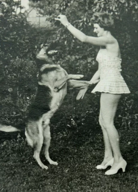 Original Foto Frau im Mini Rock mit Hund 50´s Vintage Photo Schäferhund (51)