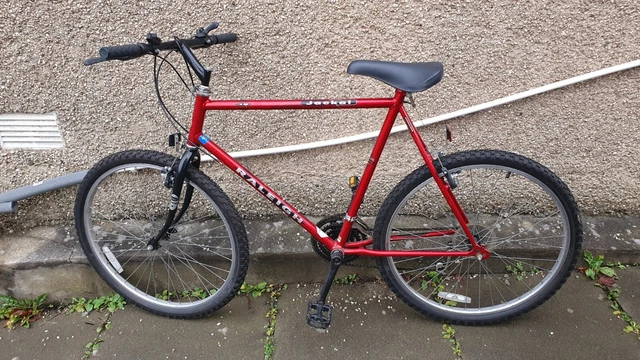 Raleigh jackal top mountain bike