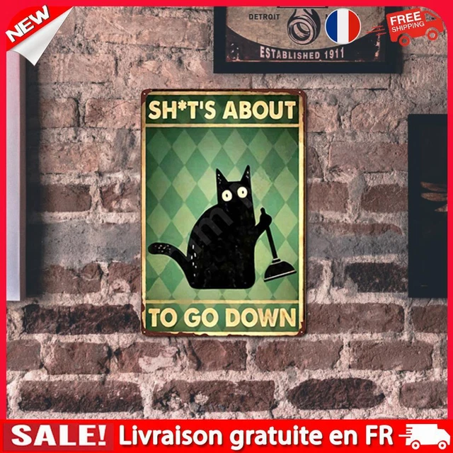 FR IMAGE RECTANGULAIRE en fer plat chat noir Vintage plaque en métal