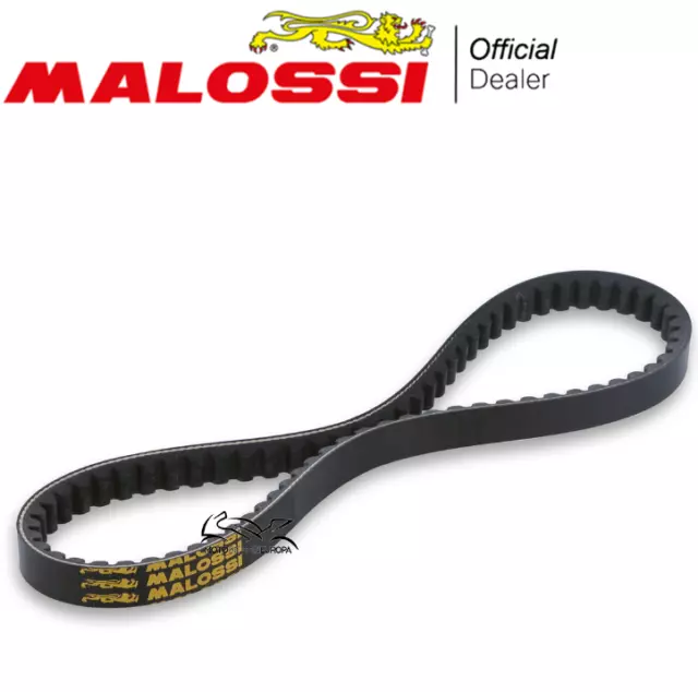 Malossi 6116830 Cinghia Di Trasmissione X K Belt Piaggio Ciao 50 Con Variatore