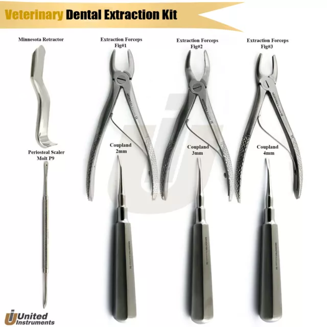 Dental Luxating Elevators Tooth Extraction Forceps Veterinary Oral Surgery