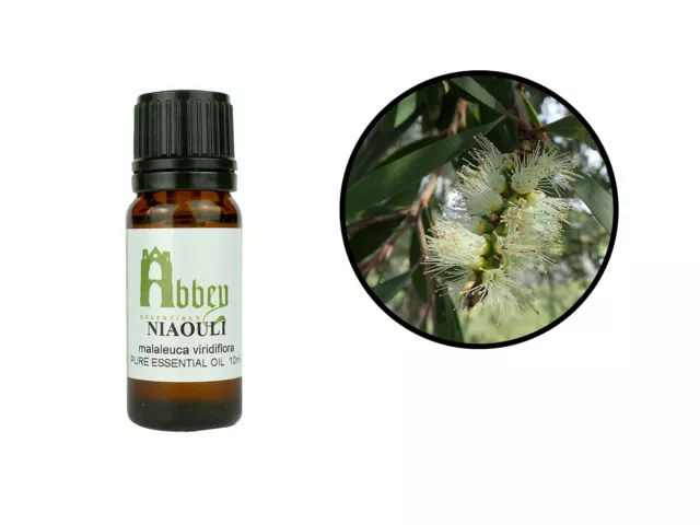 Essential Oil Niaouli 100% Pure Aromatherapy Undiluted Uncut 10ml - 1 Litre UK