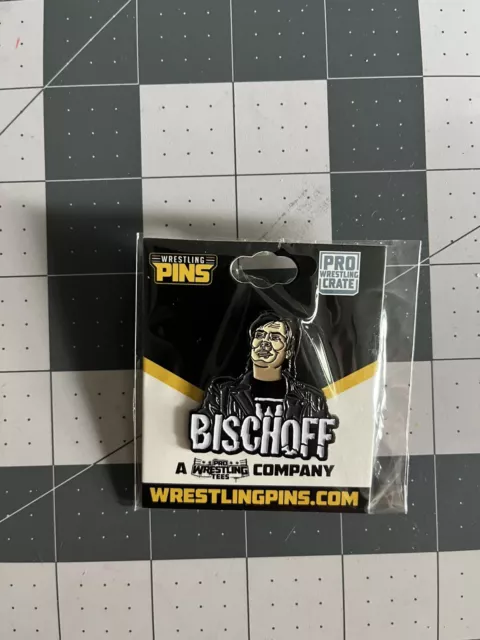 WWE LAPEL PIN Pro Wrestling Crate Collection Contains 12 Exclusive Pins  $24.99 - PicClick