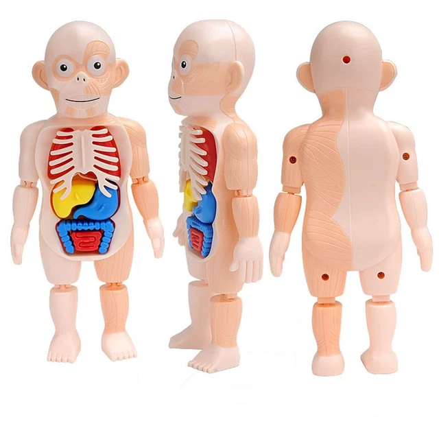 15 Blocchi Sensoriali Educativi In Legno Per Bambini – Impilabili, Colorati E Tattili Per Imparare Giocando