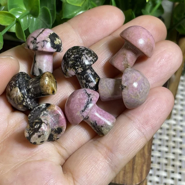 7pcs Natural Rhodonite Quartz Carved Crystal Mushroom reiki Healing Decor A1521 5