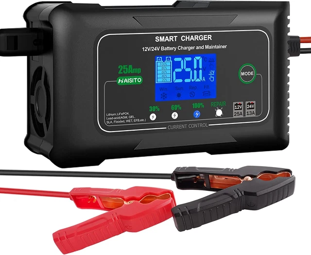25 AMP LITHIUM Battery Charger, 12V and 24V Lifepo4,LeadAcid(Agm/Gel