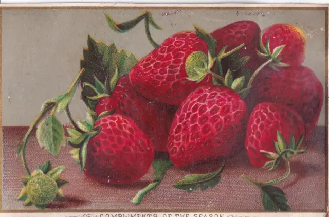 1800s Victorian Trade Card - Compliments of The Season - Strawberries